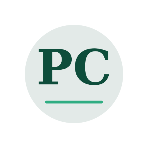 Pilot Chimney Repair logo
